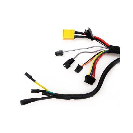 Controleur 36V 25A Dualtron Togo 3