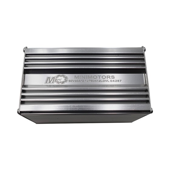 Contrôleur Dualtron New Victor Limited 2