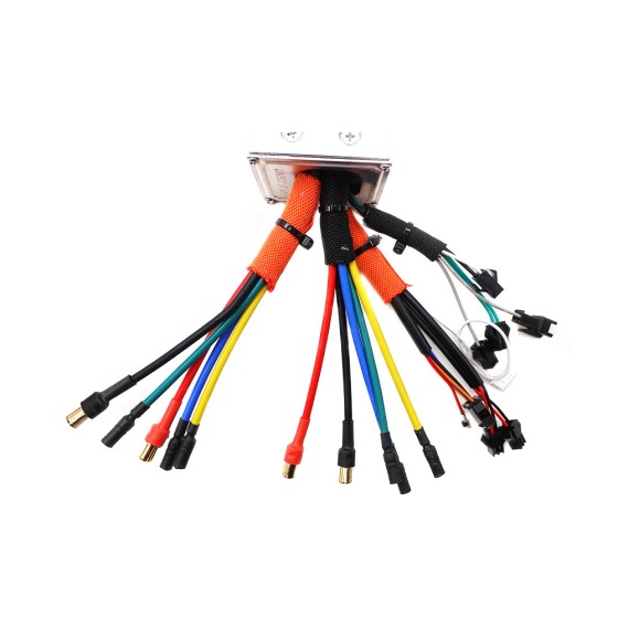 Contrôleur Dualtron New Victor Limited 4