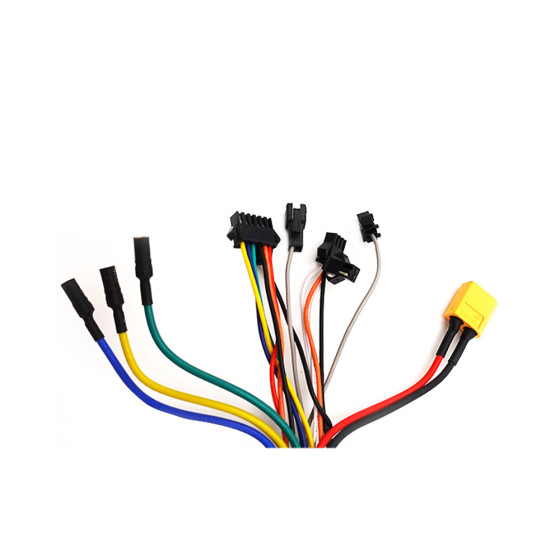 Controleur Dualtron Pop (single moteur) 3