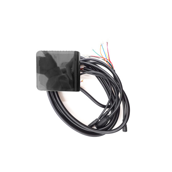 Display Ey 2 Dualtron Togo Limited 60V 2