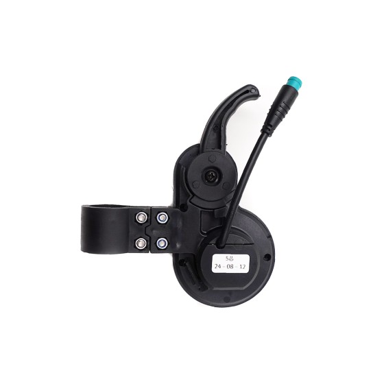 Display TF-100 5 pins 24V 36V 48V 3