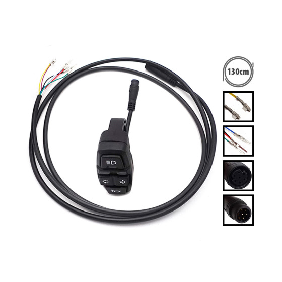 Interrupteur Dualtron Forever, Aminia