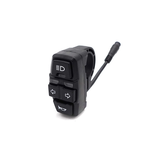 Interrupteur Dualtron Forever, Aminia 2