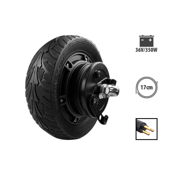Moteur 36V 350W pour Z8