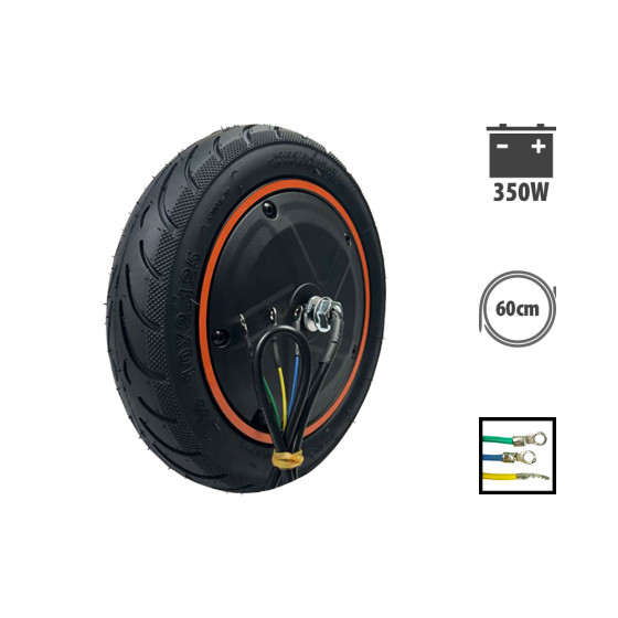 Moteur Ninebot F40 350W