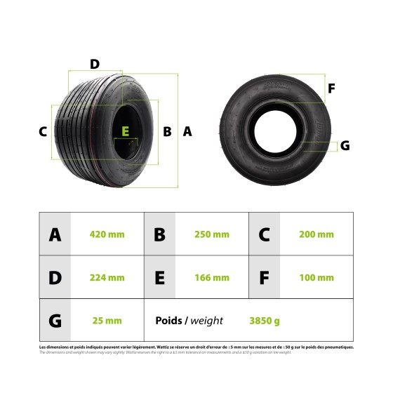 Pneu Citycoco 225/55-8 3