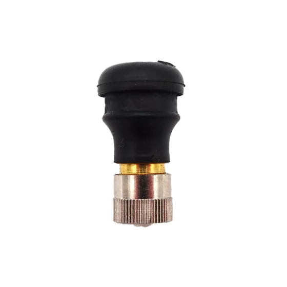 Valve tubeless Droite trottinette électrique 2