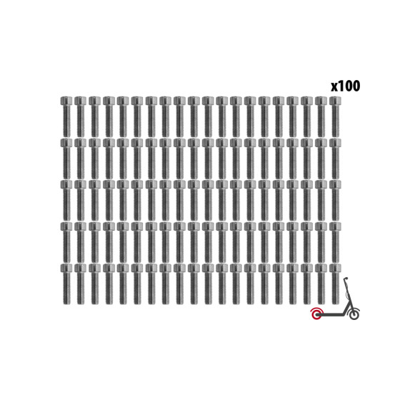 Vis BTR roue Ar Dualtron Mini (x100 pcs)