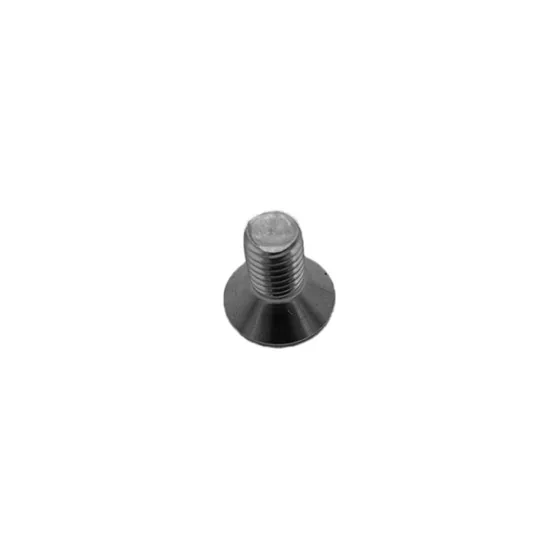 Vis Folding Dualtron Inox X10Pcs 3