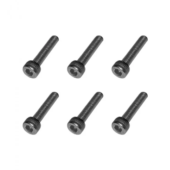 Vis jantes moteurs Dualtron sauf Mini X6 pcs 2